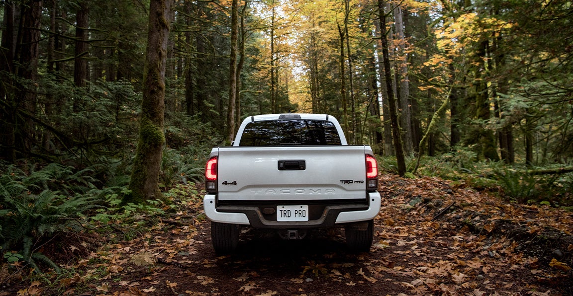 Bennett Toyota of Allentown is a Car Dealership near Allentown PA | Back of the White 2020 Toyota Tacoma Driving Through the Woods