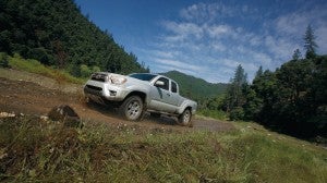 Fiore Toyota