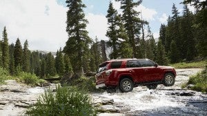 Fiore Toyota