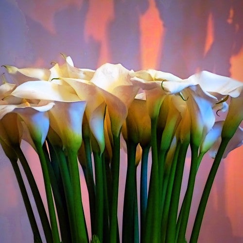 flower-shops-in-jacksonville-fl