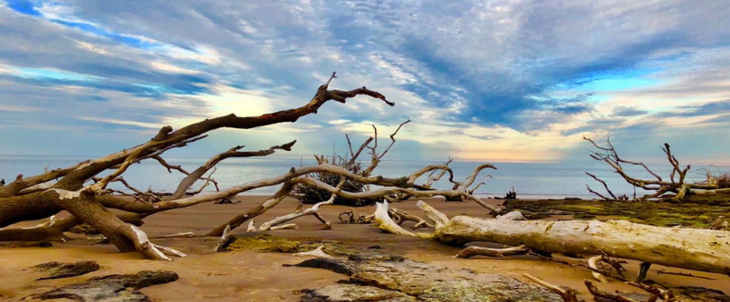 Boneyard Beach