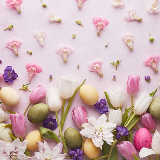Pink tulips, spring flowers, and decorated eggs on pink background