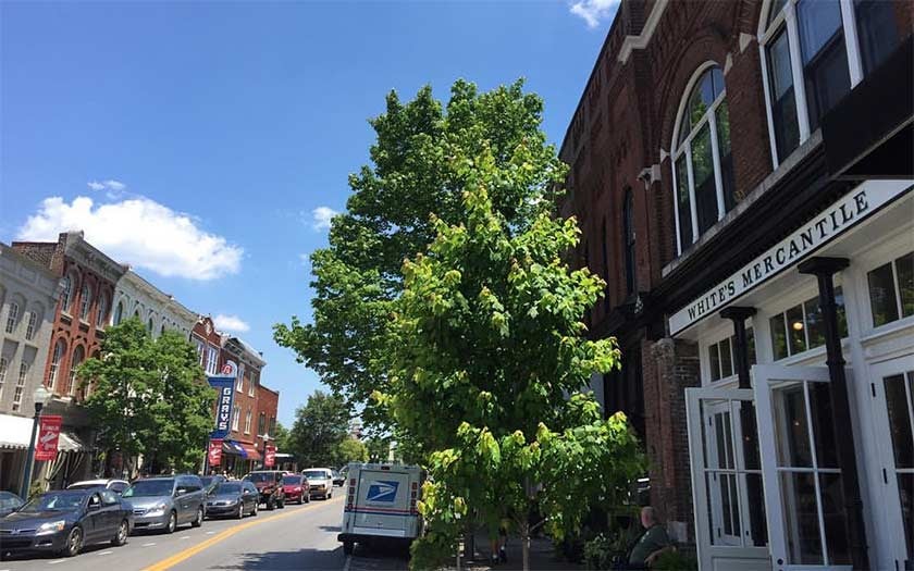 Downtown-Franklin