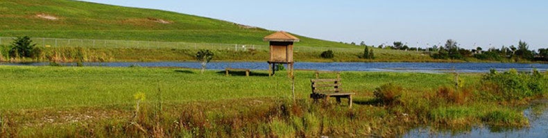 blog-summer-robbins
