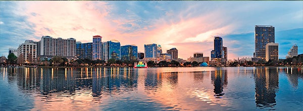 napes FL header