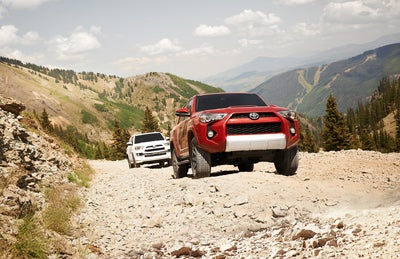 4runnerwild