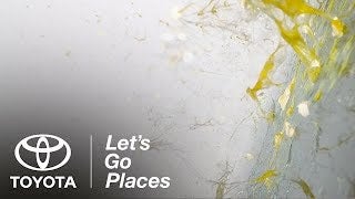 toyotawipers