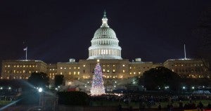 Capitol-Christmas-Tree