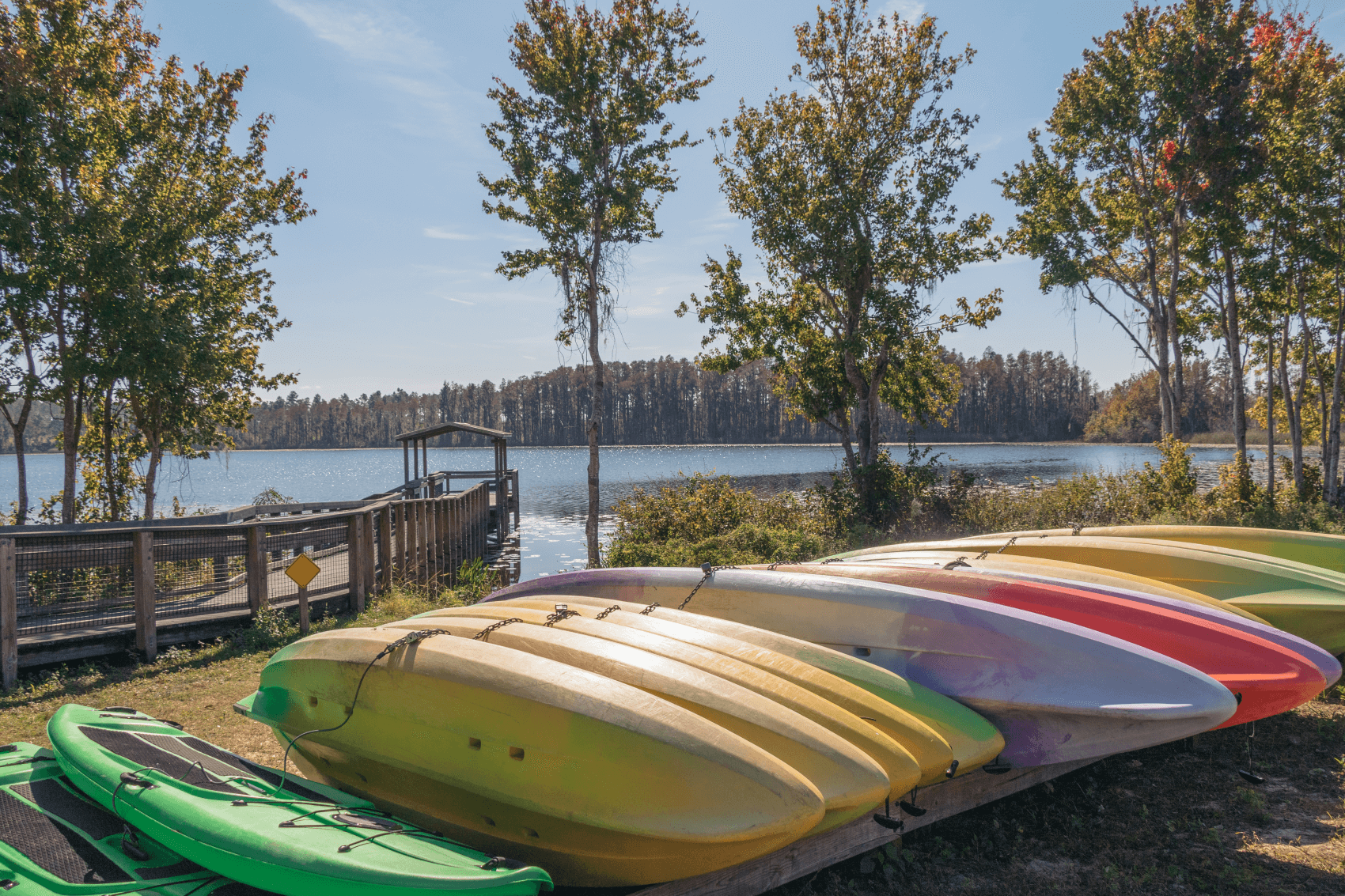 Lake Louisa State Park Florida Kayaks Phillips Toyota