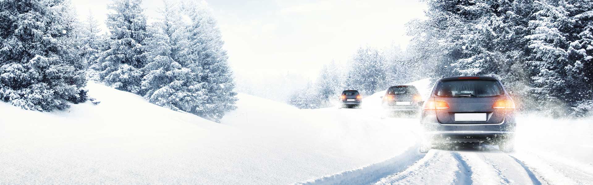 Dow Lewis Motors Service image