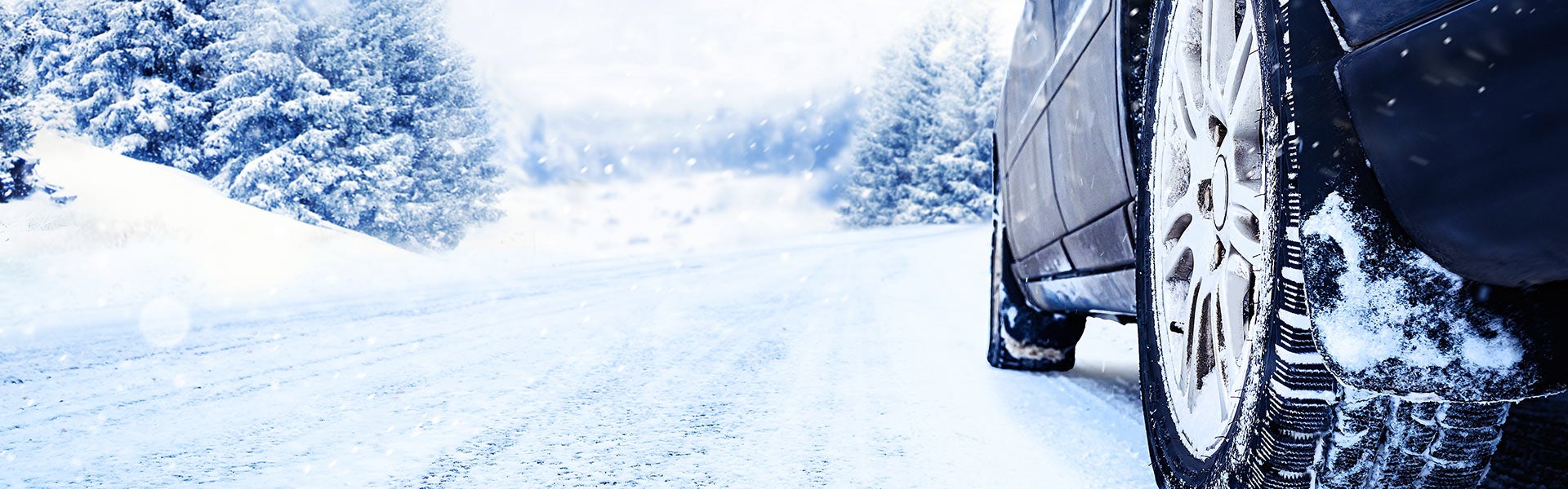 Dow Lewis Motors Service image